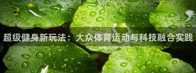 MK体育官方正版app集团:超级健身新玩法:大众体育运动与科