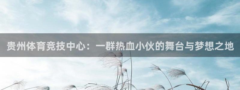 MK体育官方正版app娱乐网站:贵州体育竞技中心:一群热血小