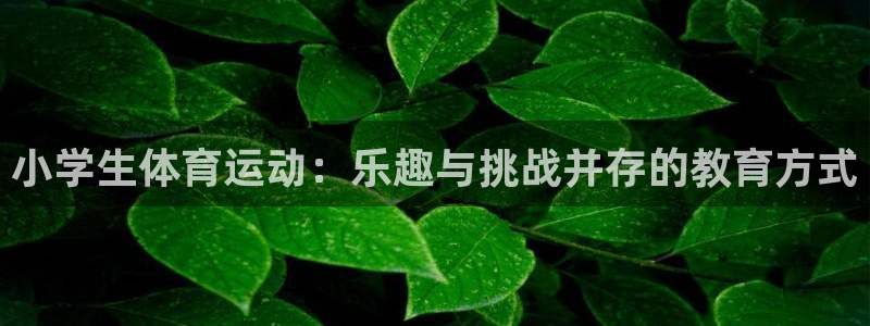MK体育官网下载平台注册:小学生体育运动:乐趣与挑战并存的教